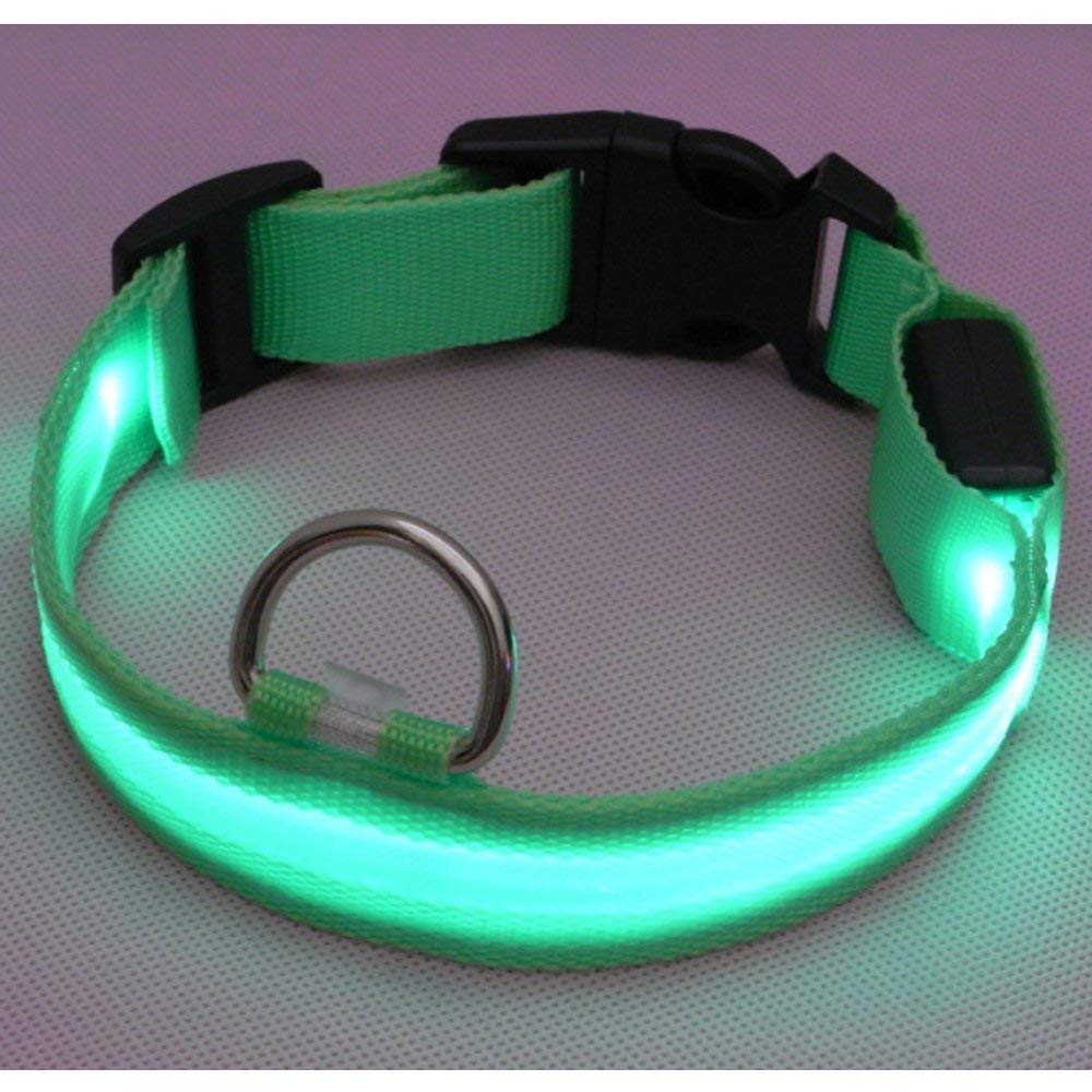 Flashing Dog Collar - PawsPlanet Australia