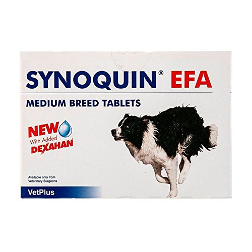 SYNOQUIN EFA MEDIUM BREED 30 COMPRESSE - PawsPlanet Australia