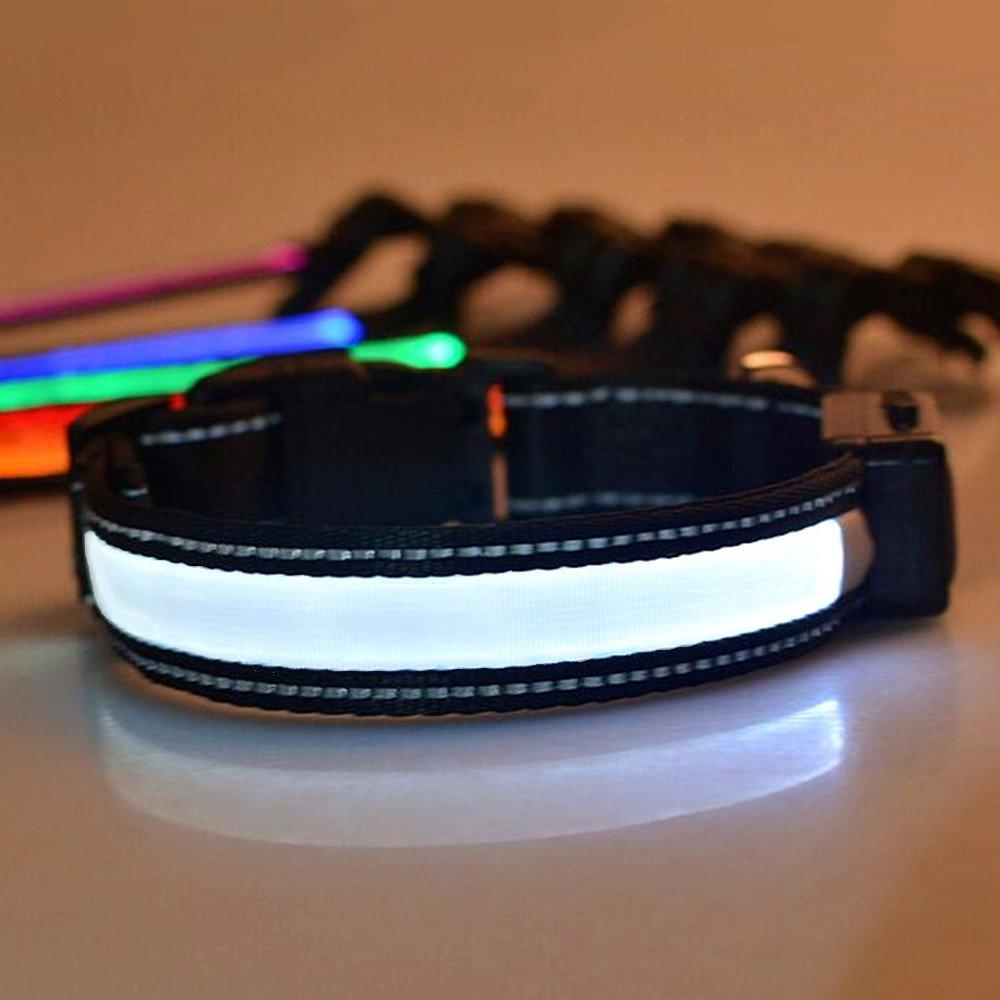 LED Dog Collar, LaiXin Flashing Dog Collar Waterproof USB Rechargeable and Solar Charging, Illuminated Reflective Ultra Bright Collar for Medium Dogs - White (M, 40cm~50cm, 15kg~25kg) M:40cm~50cm(15kg~25kg) White(Reflective) - PawsPlanet Australia