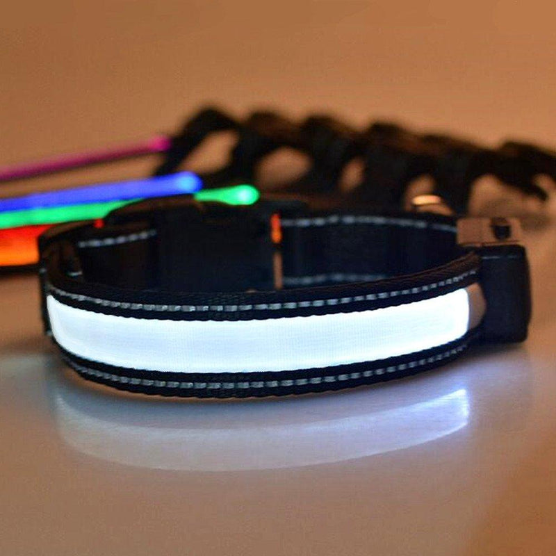 LED Dog Collar, LaiXin Flashing Dog Collar Waterproof USB Rechargeable and Solar Charging, Illuminated Reflective Ultra Bright Collar for Medium Dogs - White (M, 40cm~50cm, 15kg~25kg) M:40cm~50cm(15kg~25kg) White(Reflective) - PawsPlanet Australia
