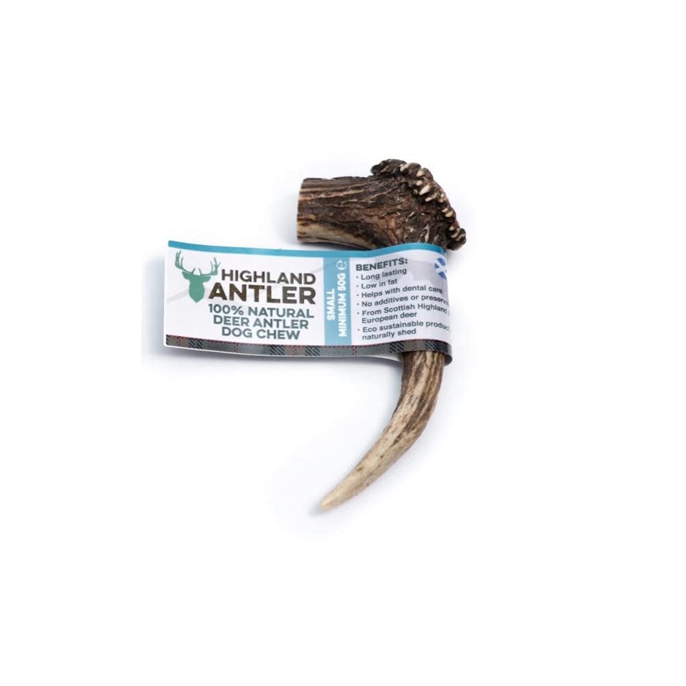 Antos Antler Dog Chew Small - 100% natural SHAPES MAY VARY (Small Small 50-75g) - PawsPlanet Australia