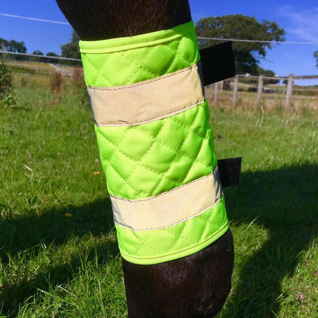 Other EQUISAFETY QUILTED REFLECTIVE LEG BOOTS, clear - PawsPlanet Australia