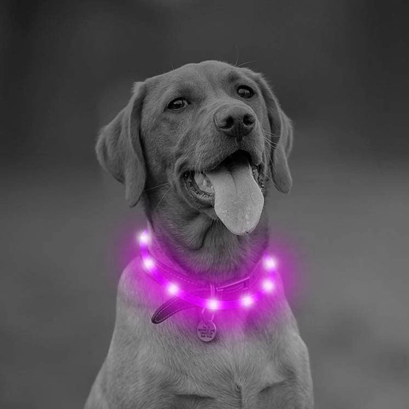 PetSol Extra Bright USB Rechargeable LED Dog Collar Cut To Size Universal Fit Weather Proof Easy Clean Improves Visibility & Safety For Your Dog (Pink) Pink - PawsPlanet Australia