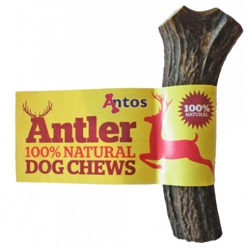 Antos Antler Dog Chew, Medium (Shape may vary) - PawsPlanet Australia