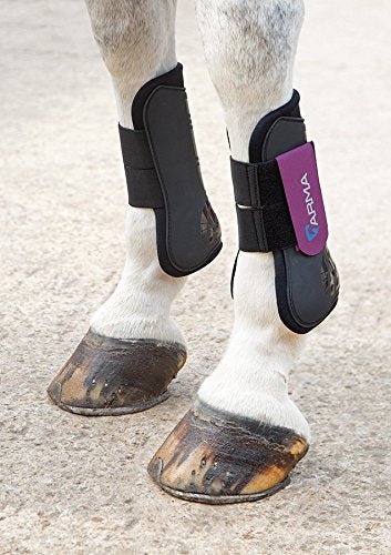 Shires Arma Tendon Boots - Black/Plum Full - PawsPlanet Australia