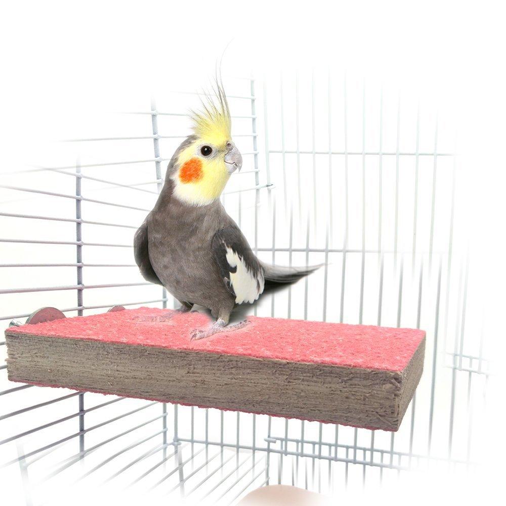 Bird Perch Stand Platform Toy, Natural Wood Playground Paw Grinding for Pet Bird Parrot Macaw African Greys Budgies Parakeet Conure Hamster Gerbil Rat Mouse Cage Accessories Stands Exercise Toy - PawsPlanet Australia