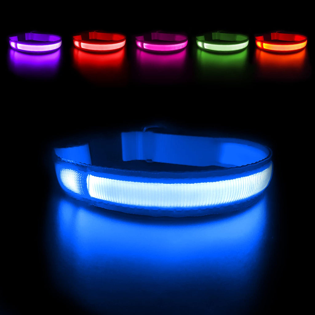 MASBRILL Light Up Dog Collar, Led Dog Collar with Rechargeable and Waterproof, Durable Glowing Dog Collar with 3 Modes Flashing for Small/Medium/Large Dog(Blue S) S (Pack of 1) Blue - PawsPlanet Australia
