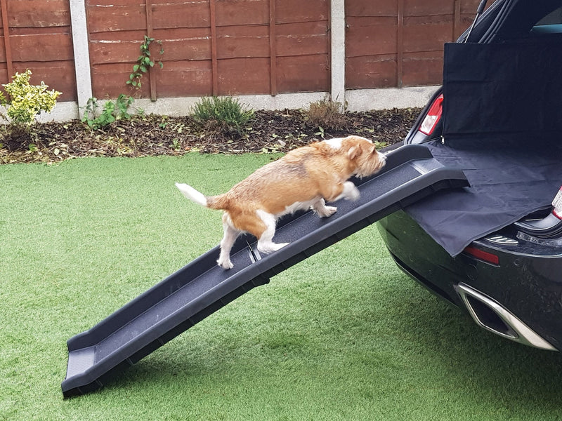 MP Essentials Foldable Portable Heavy Duty Car Access Dog Ramp for Injured, Elderly, Disabled Pets - PawsPlanet Australia