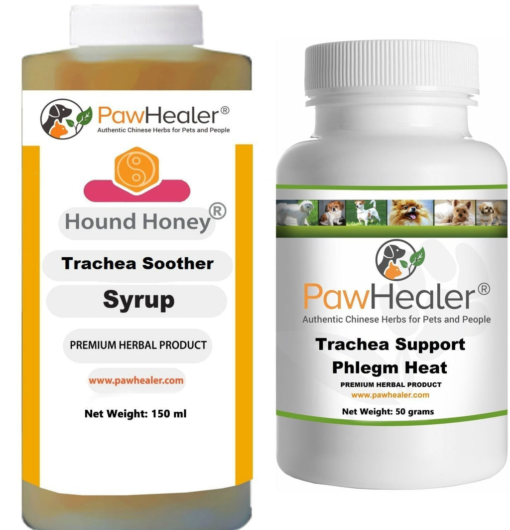 Trachea Soother Syrup BUNDLE with Trachea Support: Phlegm Heat - Natural Herbal Remedy for Symptoms of Collapsed Trachea for Dogs - Combo of (1 Bottle) 150 ml syrup & (1 Bottle) 50 grams powder … - PawsPlanet Australia