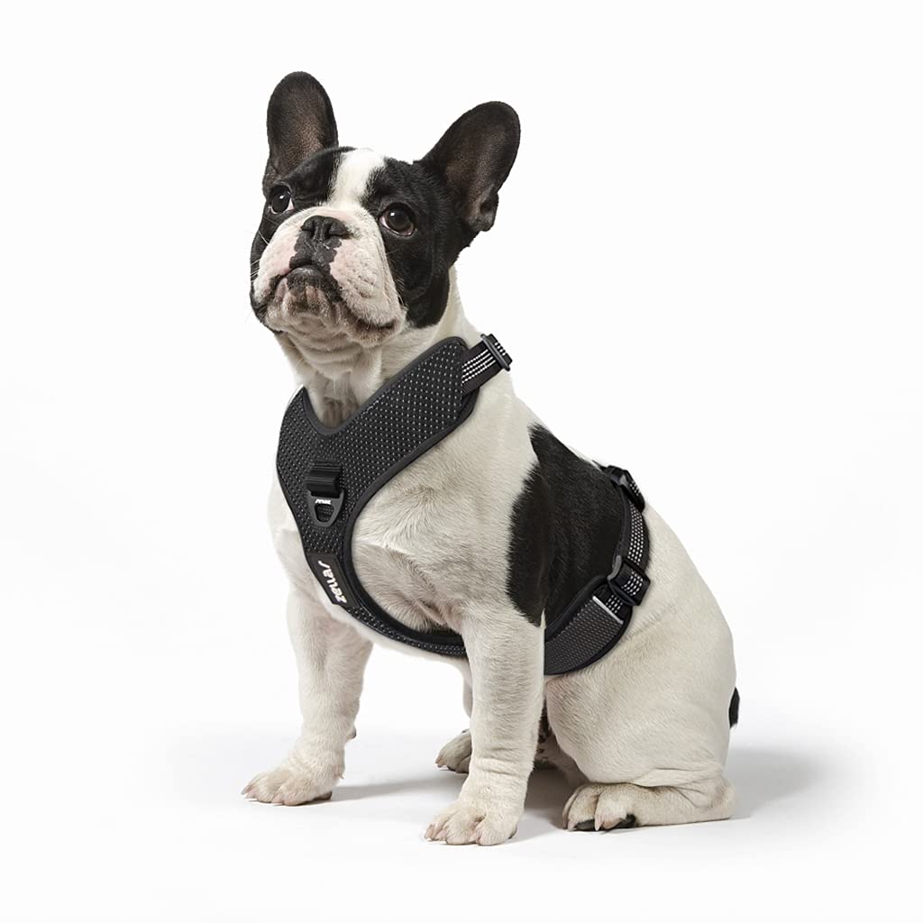 Zellar No Pull Dog Harness, Adjustable Breathable Reflective Soft Padded Dog Vest Harness with Handle for Training Outdoor Activities, Black, Medium M - PawsPlanet Australia