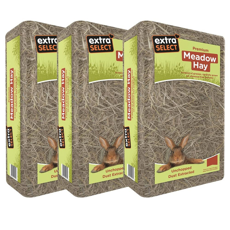 Extra Select Meadow Hay Large 3 x 2 kg 2 kg (Pack of 3) - PawsPlanet Australia