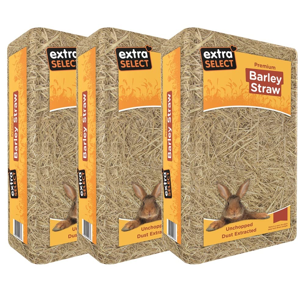 Extra Select Barley Straw Large 3 x 2 kg 2 kg (Pack of 3) - PawsPlanet Australia