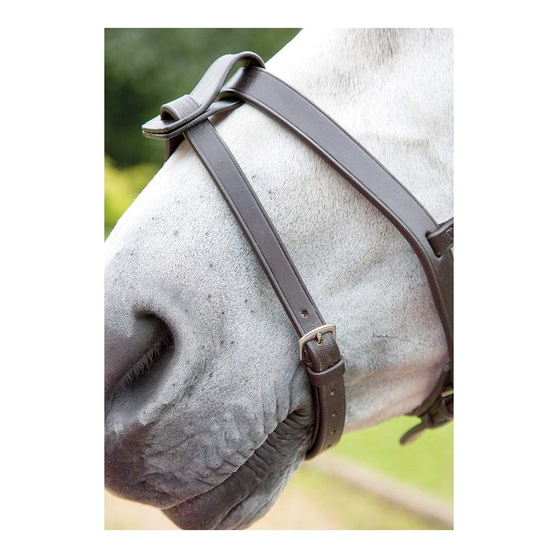 Shires Blenheim Flash Strap - Black Full - PawsPlanet Australia