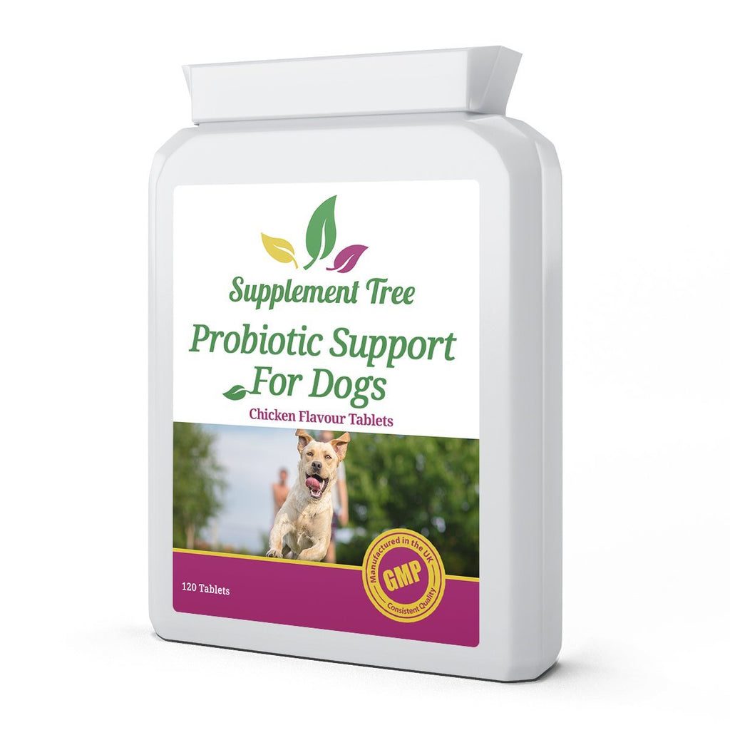 Probiotic Support for Dogs 120 Chicken Flavour Tablets - Advance Multi Strain Probiotics Supplement with Added Inulin Prebioitcs & Digestive Enzymes for Ultimate Digestive Health Support for Dog - PawsPlanet Australia