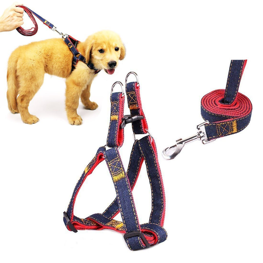 Pet vest harness, Adjustable Dog Harness and Leash Set Easy Use & Durable Material for Dogs/Cats/Puppy ( L ) (Large:Chest Girth:17.7''-27.6') - PawsPlanet Australia