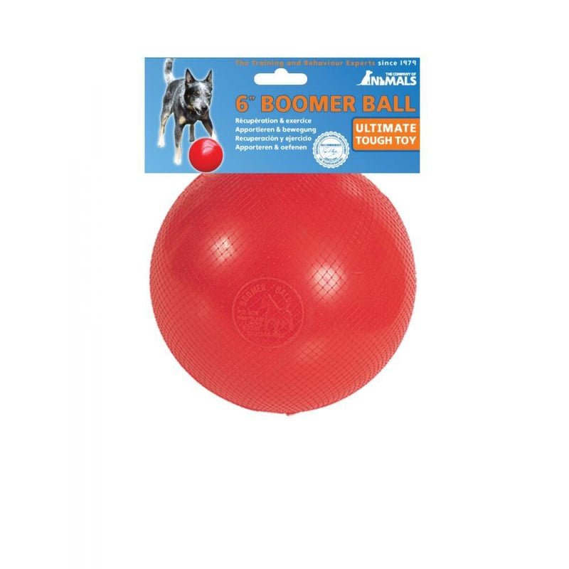 Other Boomer Ball Virtually Indestructible Ball Dog Toy (6 Inch) (May Vary) - PawsPlanet Australia