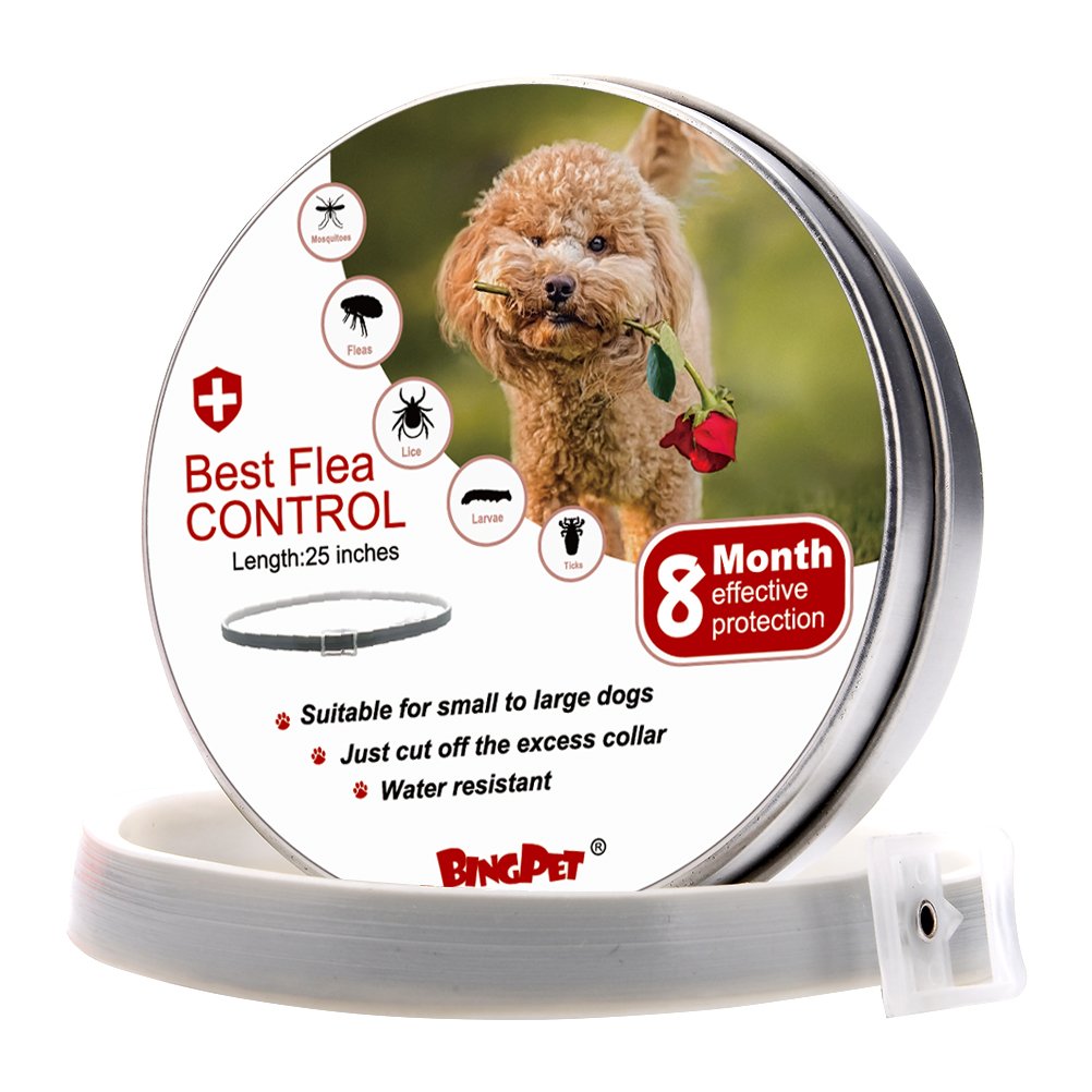 BINGPET Flea and Tick Collar Prevention for Dogs - 8 Month Dog Flea Treatment Collar One Size Fits ALL Pet Pest Control Collars - PawsPlanet Australia