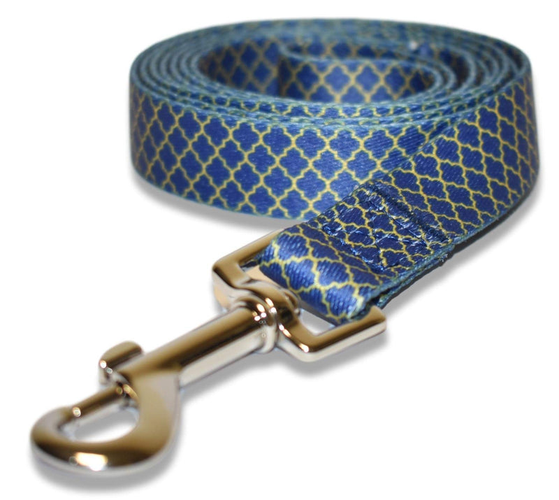 Paxleys 150cm Length Blue Gold Printed Polyester Dog Puppy Lead Leash, Easy Clean Soft Lightweight Waterproof Comfort, Suitable for Puppy Small Medium and Large Dogs, Walking Running Hiking 150cm x 2.5cm - PawsPlanet Australia
