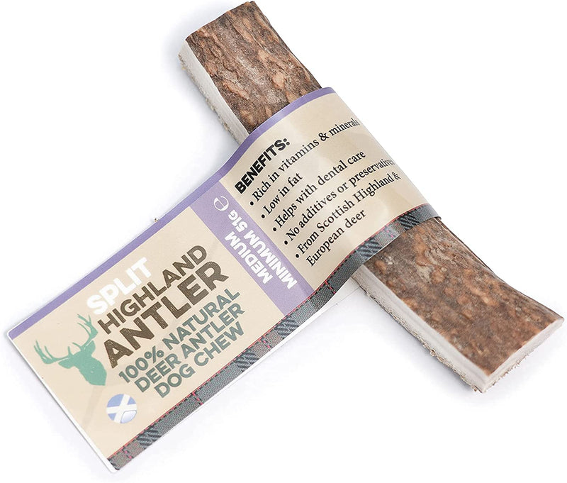 100% Natural SPLIT Antler Dog Chews The Hypo-Allergenic Dog Chew Like Stagbar (Medium 51-80g) - PawsPlanet Australia