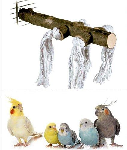 Trix-ie Caged Bird Natural Wooden Perch With Play Rope for Budgie Parrotlets Cockatiels (Large - 24cm long x 9cm wide) Large - 24cm long x 9cm wide - PawsPlanet Australia