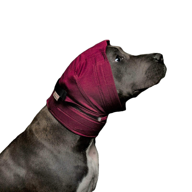 No Flap Ear Wrap The Original (XSmall Red) XSmall - PawsPlanet Australia