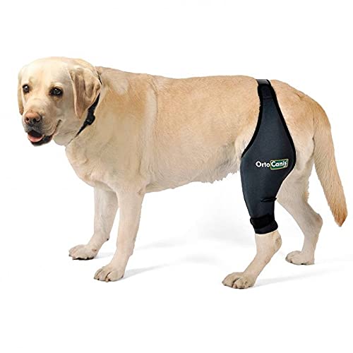 Ortocanis Original Knee Brace for Dogs with ACL, Knee Cap Dislocation, Arthritis - Keeps The Joint Warm - Reduces Pain and Inflammation - 9 Sizes for Left or Right Leg (XXXS - Right) XXXS / Right - PawsPlanet Australia