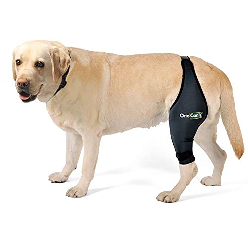 Ortocanis Original Knee Brace for Dogs with ACL, Knee Cap Dislocation, Arthritis - Keeps The Joint Warm - Reduces Pain and Inflammation - 9 Sizes for Left or Right Leg (L - Right) L / Right - PawsPlanet Australia