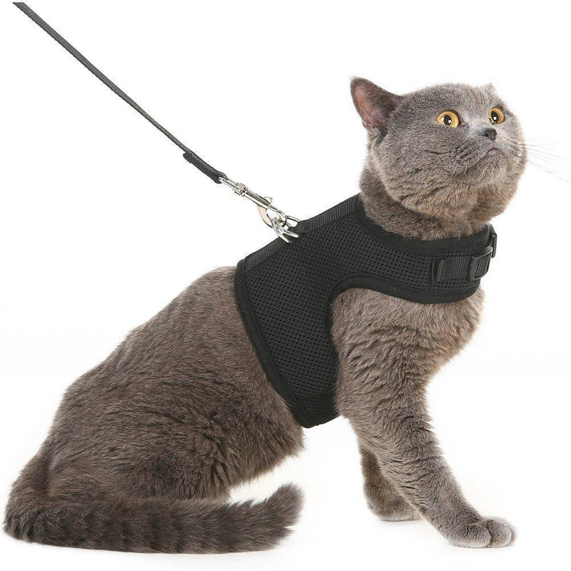 BINGPET Escape Proof Cat Harness and Leash - Adjustable Soft Mesh Holster Style - Best for Kitten Walking L Black - PawsPlanet Australia