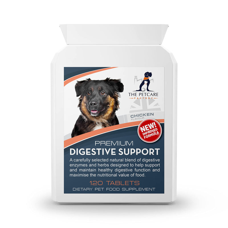 Premium Digestive Support, Containing Digezyme® a Powerful Enzyme Blend, Together With Slippery Elm, 120 Tablets, Supports Digestive Health Increasing Nutritional Food Value, UK Manufactured - PawsPlanet Australia