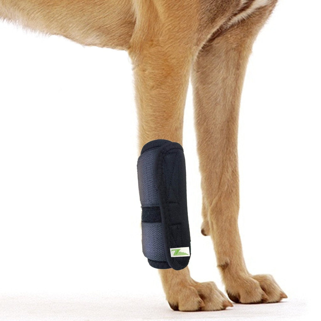 Dog Front Leg Joint Brace Heals Hock Wrap Sleeve for Canine (S/M, Black) S/M Black-Front Leg - PawsPlanet Australia