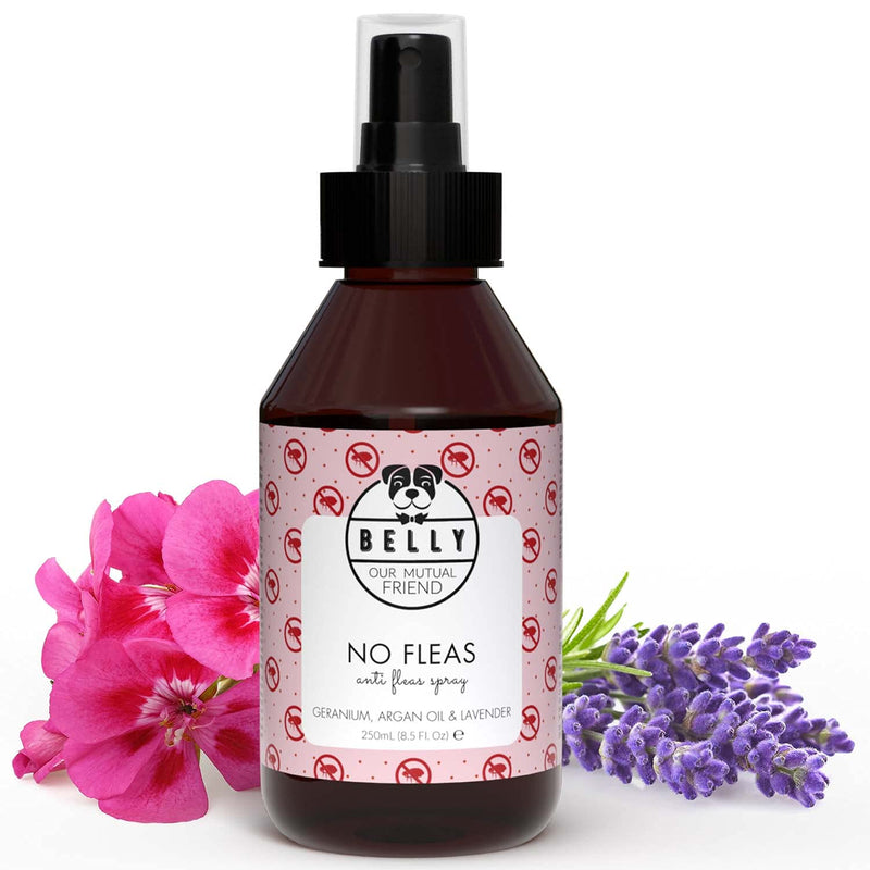 Belly Dog Flea Spray - An Ideal Puppy Flea Treatment Dog Spray - Natural Flea Treatment for Dogs - Dog Flea Treatment for Puppies - An Alternative To Flea Dog Collar & Flea Shampoo for Dogs, 250 ml - PawsPlanet Australia