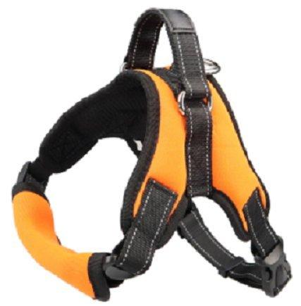 Adjustable Reflective No Pull padded Dog Vest Harness with Neoprene neck pad for Small, Medium and Large Dogs (Small, Orange) - PawsPlanet Australia