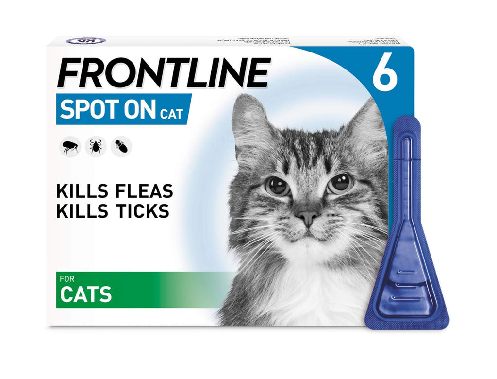 Front line Spot On Treatment for Cats 6 Pipettes - AVM-GLS - PawsPlanet Australia