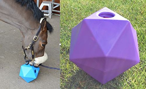 Horse Treat Ball 9", 6 litre Treat Feeder Boredom Breaker, Purple - PawsPlanet Australia