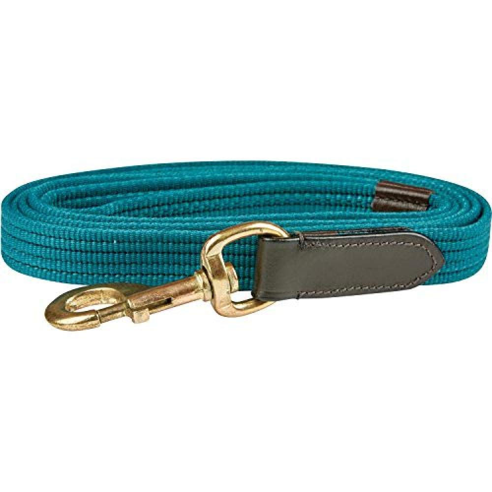 Kincade Leather Web Leadropes One Size Hunter Green Brown - PawsPlanet Australia