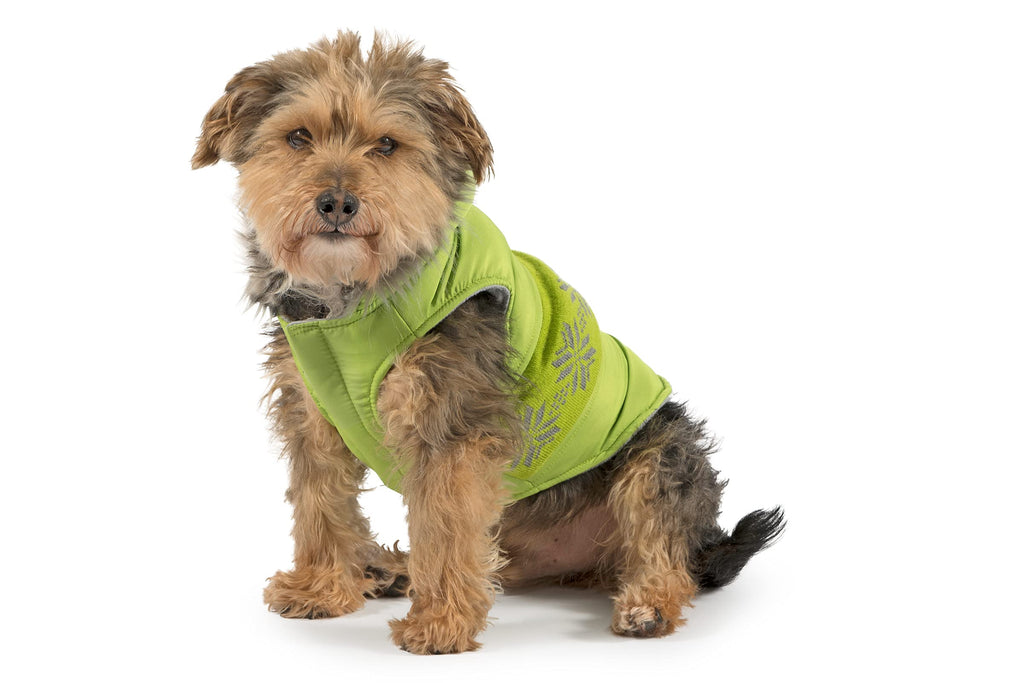 Ancol Nordic Dog Coat, Green, Small. Length 30cm / Girth 46-56cm S - PawsPlanet Australia