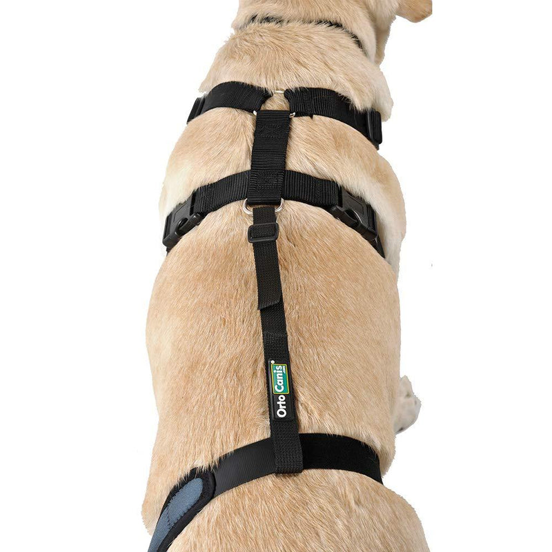 Ortocanis Knee brace fastening belt - belt and harness - size L Belt + harness - size L - PawsPlanet Australia
