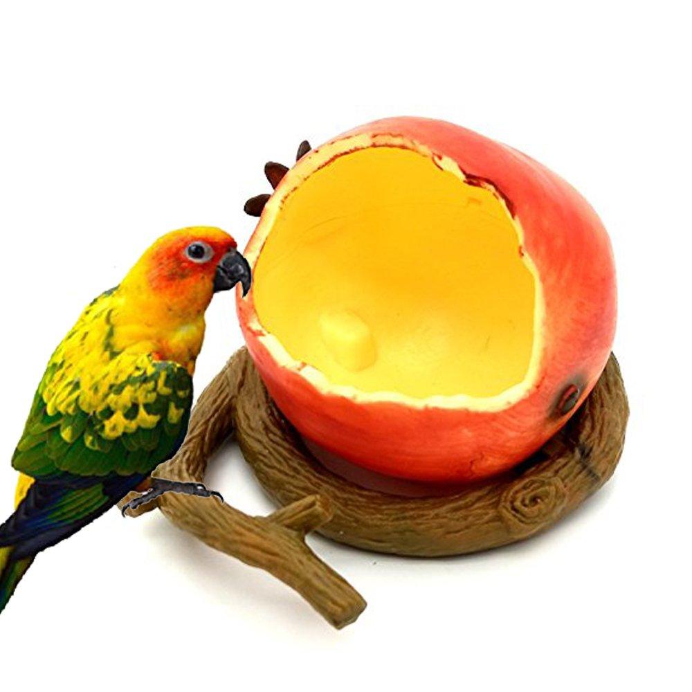 Famhome Birds Feeder Bowl, Bird Food Feeding Bowl Feed Cup for Small Parrots Cockatiels Conure Hamster Small Animal Drinking Water Container for Birds Cage Accessories (Pomegranate) Pomegranate - PawsPlanet Australia