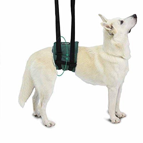 Ortocanis Original Support Sling for Dogs with Hip dysplasia - Lift Support Harness for Senior Dogs - Lifting Harness for Dogs with weak hind Legs - for All Breeds - Size S - PawsPlanet Australia