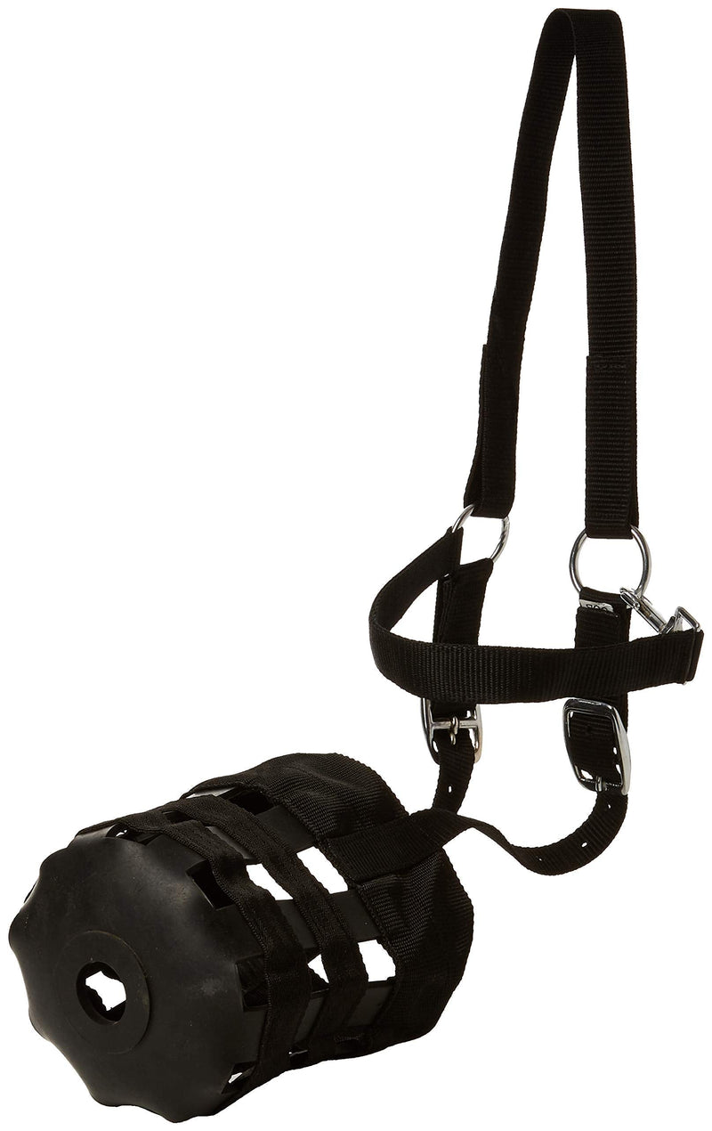 Cwell Equine NEW Nylon GRAZING MUZZLE Horse COB Or Pony Grass Muzzle BLACK (COB) - PawsPlanet Australia