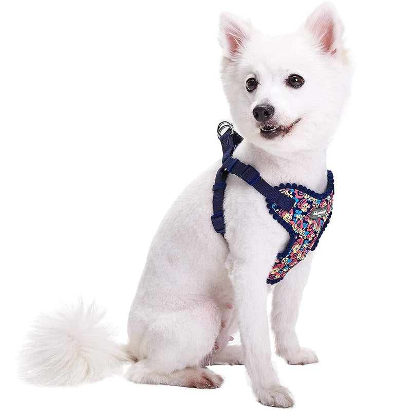 Blueberry Pet Spring Made Well Profound Floral Print Dog Harness Vest in Navy, Chest Girth 35cm-41cm, Neck 35cm-40.5cm, X-Small, Adjustable Harnesses for Dogs (35-41cm) Chest Girth - PawsPlanet Australia