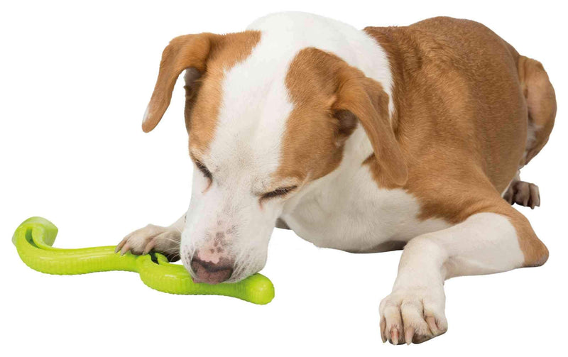 Trixie Snack Snake, treat activity toy for dogs - PawsPlanet Australia