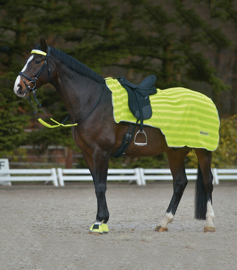 Equipride REFLEX HIND EXERCISE SHEET HI VIZ QUARTER SHEET SADDLE GAP FULL/COB - PawsPlanet Australia