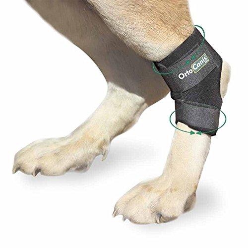 Ortocanis Original Hock wrap for Dogs Rear Leg, Canine hind Leg Joint Brace for Dogs with Arthritis or Injuries - for All Breeds - Size XS - PawsPlanet Australia