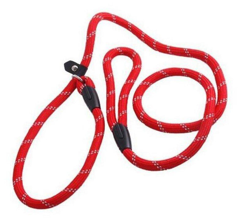 ericotry 1PCS 1.2m Red Adjustable Pet Dog Nylon Adjustable Loop Slip Leash Rope Lead Slip Dog Training Leash and Collar - PawsPlanet Australia