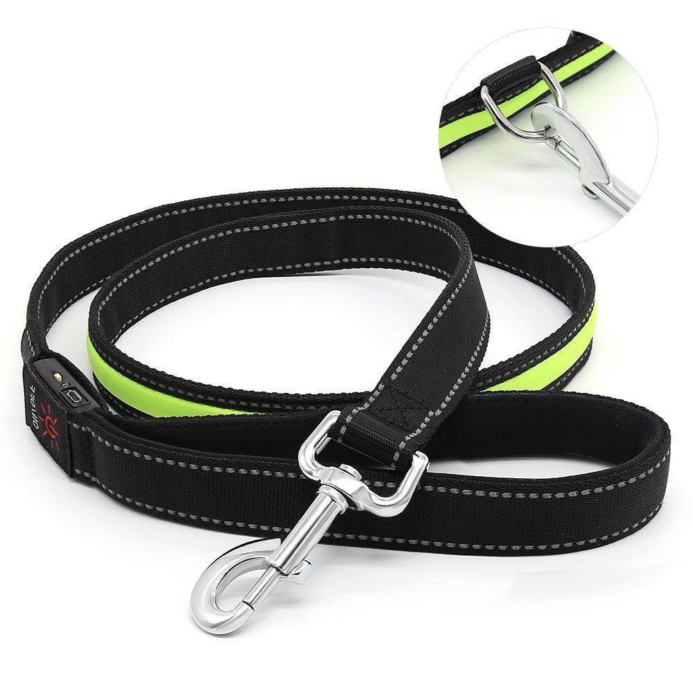 Auraglow LED light-up dog lead/glowing reflective safety leash USB rechargeable for night time visibility (Green) Green - PawsPlanet Australia