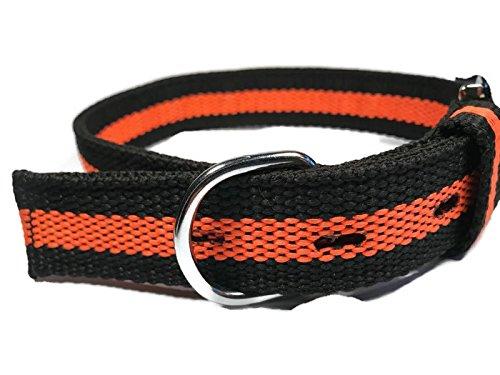 Smarty Pawnts Premium Cotton Dog Collar, Orange and Black (Large) Large - PawsPlanet Australia