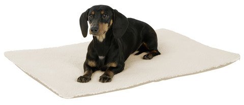 Kerbl Theo Bed Cushion, 75 x 50 x 3 cm, Beige - PawsPlanet Australia