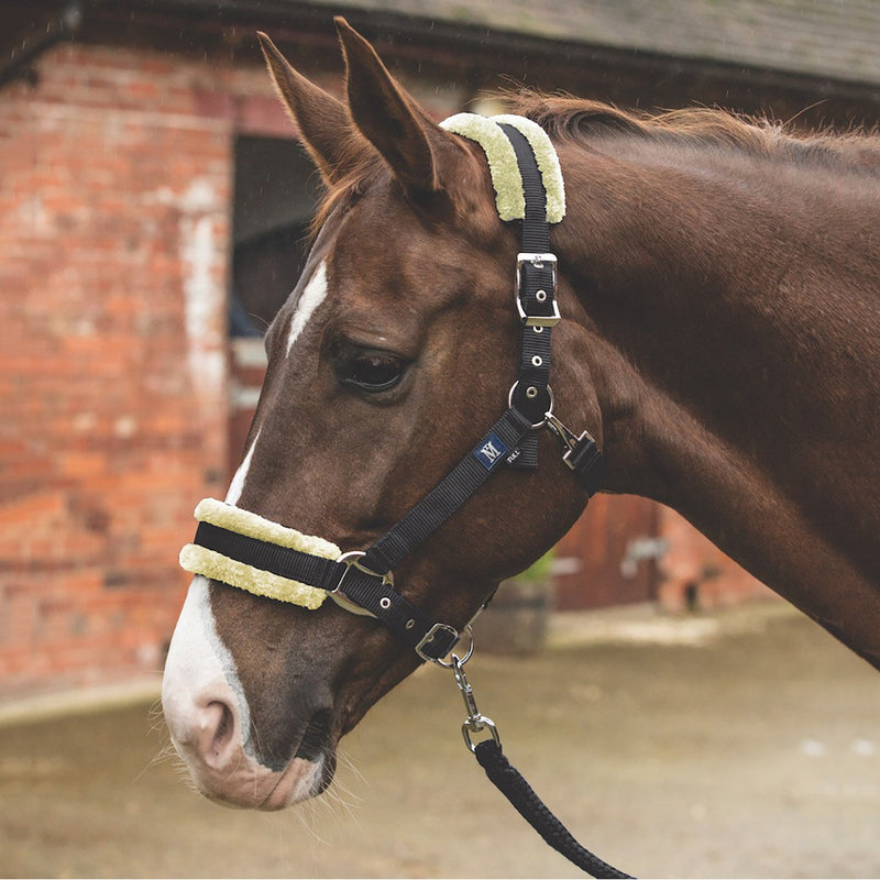 Mark Todd Fleece Lined Headcollar with Lead Rope Full Size Black/Natural - PawsPlanet Australia