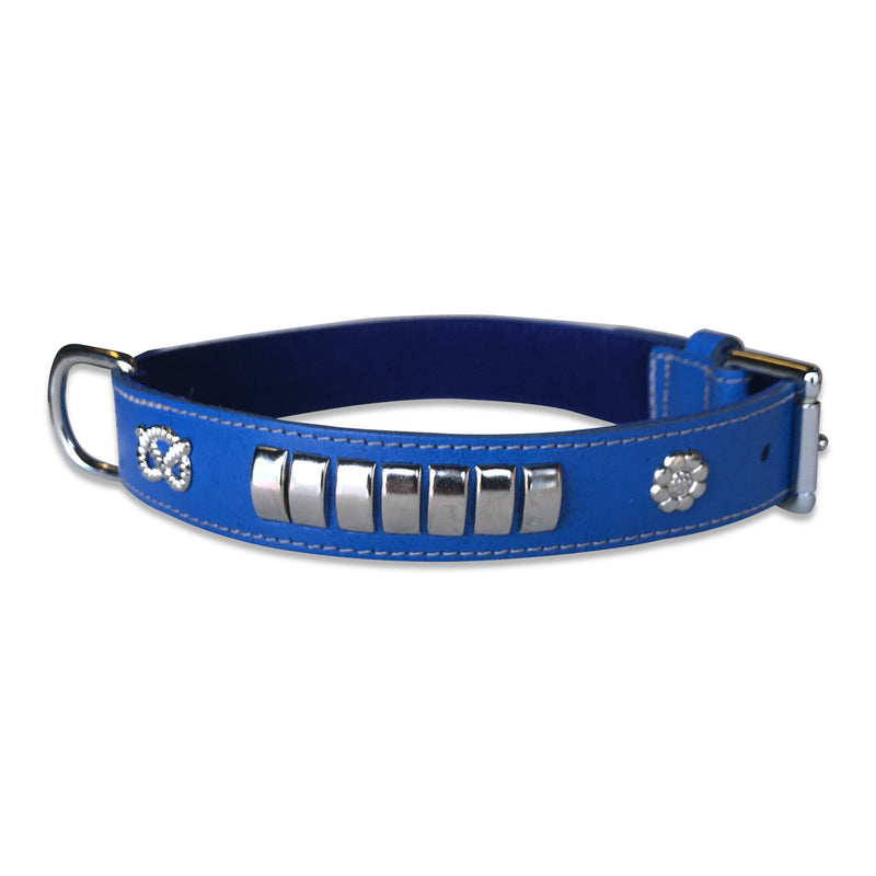 BBD Pet Products Bull Terrier Collar, One Size, 1/4 x 22 to 25-Inch, Royal - PawsPlanet Australia